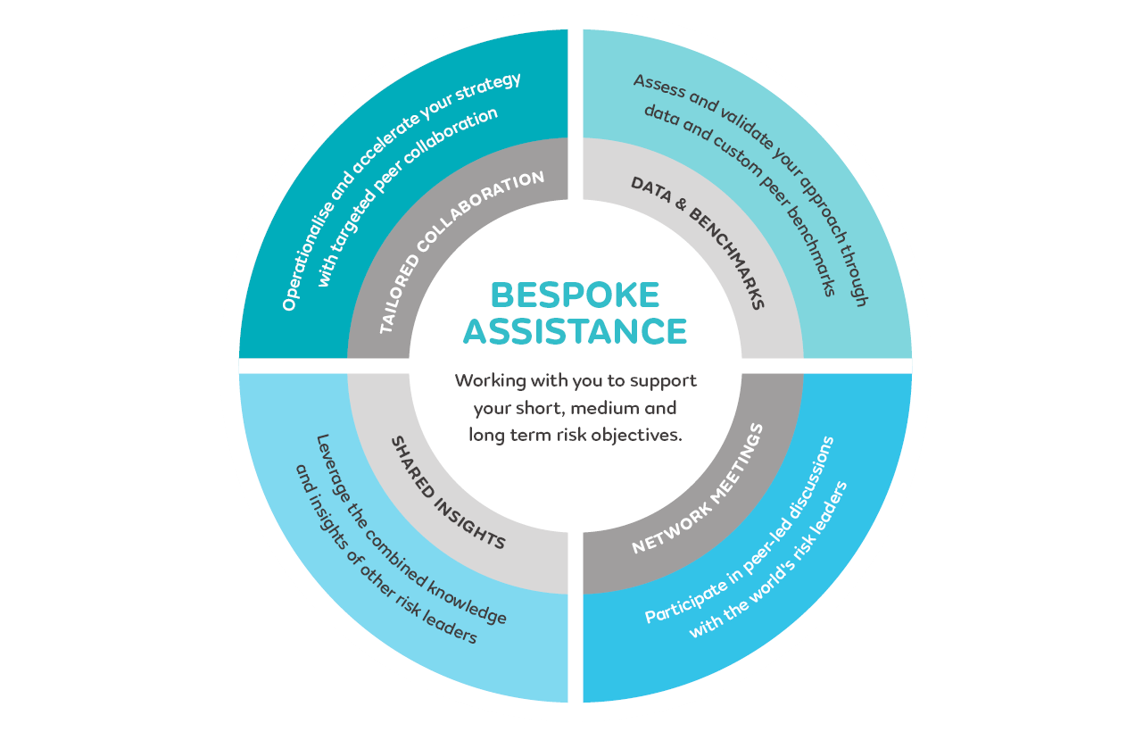 Bespoke Assistance wheel - Small