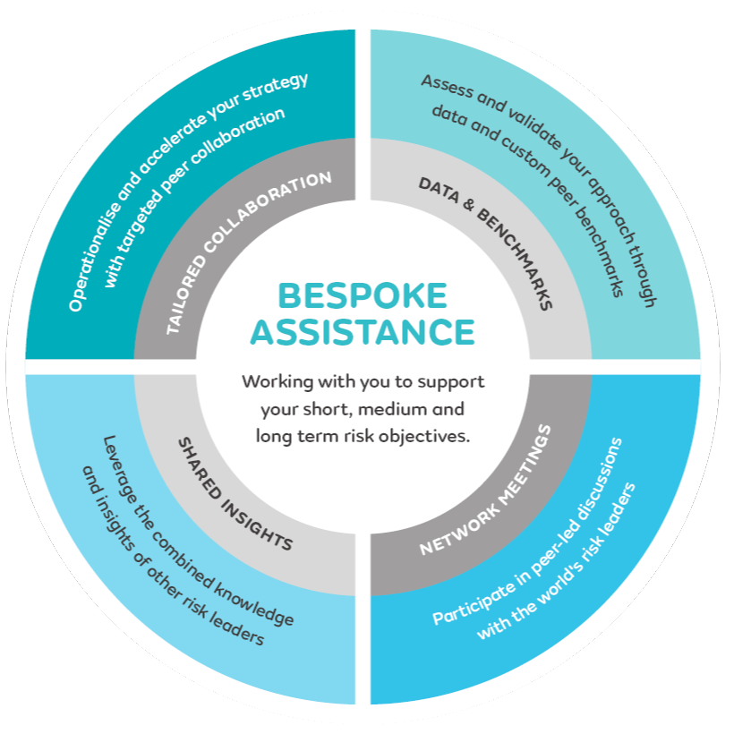 Bespoke assistance wheel