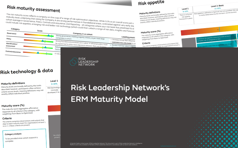 RLN ERM Maturity Model-1