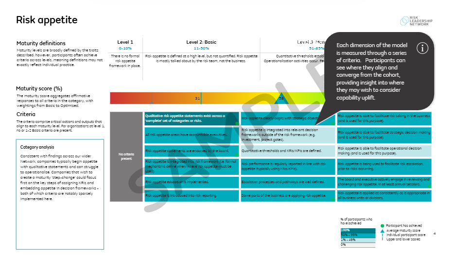Risk appetite maturity sample-1