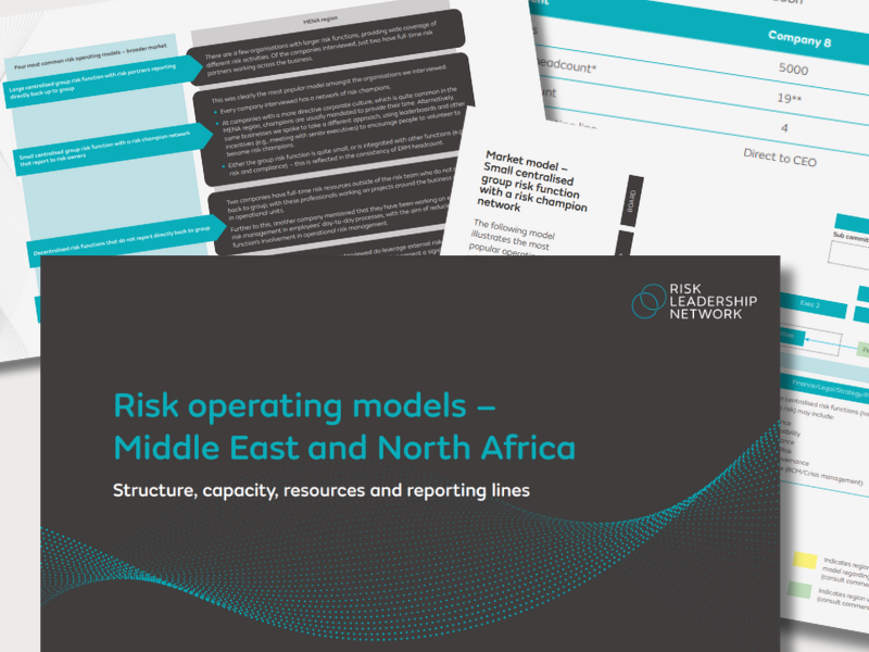 Risk operating models MENA