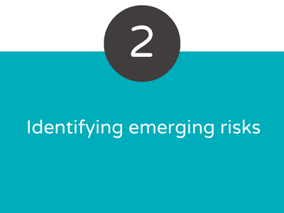 identifying emerging risks