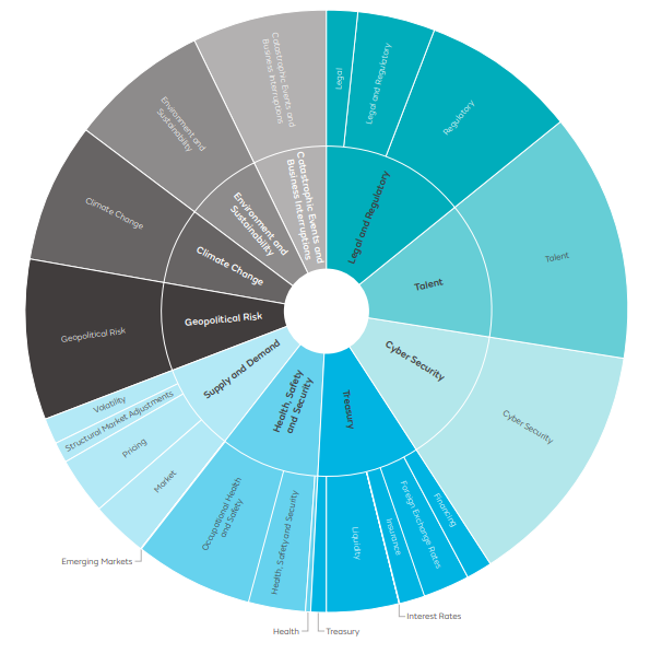 top principal material risk categories